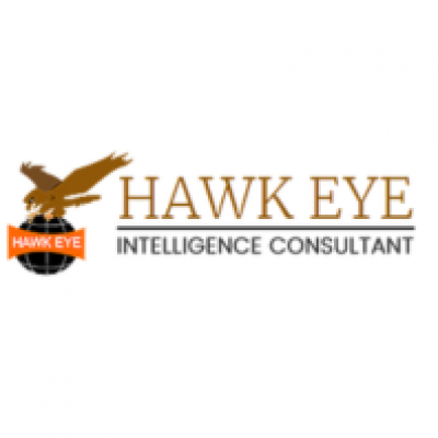 hawkeyedetective